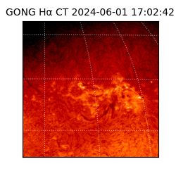 gong - 2024-06-01T17:02:42