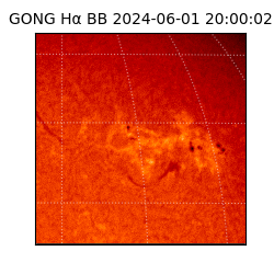 gong - 2024-06-01T20:00:02