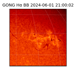 gong - 2024-06-01T21:00:02