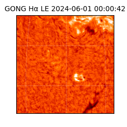 gong - 2024-06-01T00:00:42