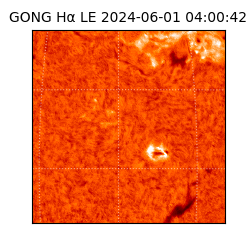gong - 2024-06-01T04:00:42