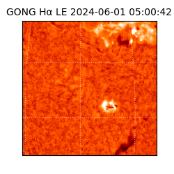 gong - 2024-06-01T05:00:42