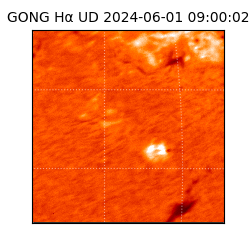 gong - 2024-06-01T09:00:02