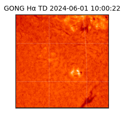 gong - 2024-06-01T10:00:22