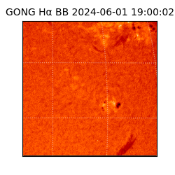 gong - 2024-06-01T19:00:02