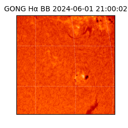 gong - 2024-06-01T21:00:02