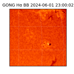 gong - 2024-06-01T23:00:02