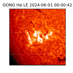 gong - 2024-06-01T00:00:42