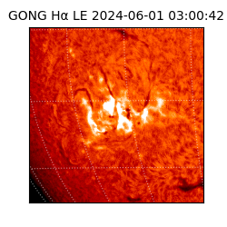 gong - 2024-06-01T03:00:42