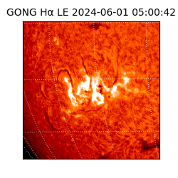 gong - 2024-06-01T05:00:42