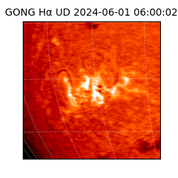 gong - 2024-06-01T06:00:02