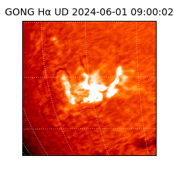 gong - 2024-06-01T09:00:02