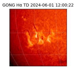 gong - 2024-06-01T12:00:22