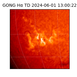 gong - 2024-06-01T13:00:22