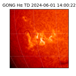 gong - 2024-06-01T14:00:22