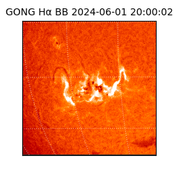 gong - 2024-06-01T20:00:02