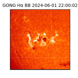 gong - 2024-06-01T22:00:02