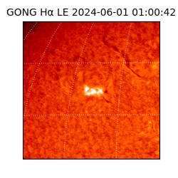 gong - 2024-06-01T01:00:42