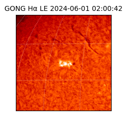 gong - 2024-06-01T02:00:42