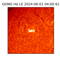 gong - 2024-06-01T04:00:42