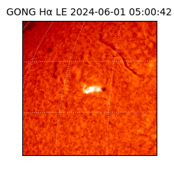 gong - 2024-06-01T05:00:42