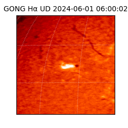 gong - 2024-06-01T06:00:02