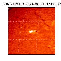 gong - 2024-06-01T07:00:02