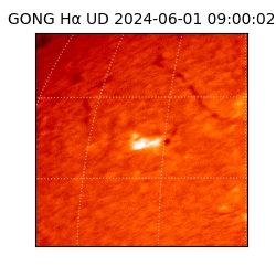 gong - 2024-06-01T09:00:02