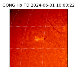 gong - 2024-06-01T10:00:22