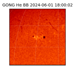 gong - 2024-06-01T18:00:02