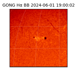 gong - 2024-06-01T19:00:02