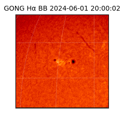 gong - 2024-06-01T20:00:02