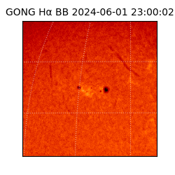 gong - 2024-06-01T23:00:02