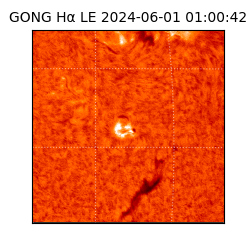 gong - 2024-06-01T01:00:42