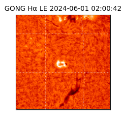 gong - 2024-06-01T02:00:42