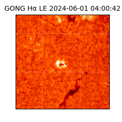 gong - 2024-06-01T04:00:42