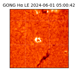 gong - 2024-06-01T05:00:42