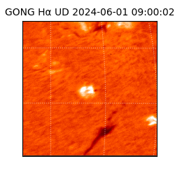 gong - 2024-06-01T09:00:02