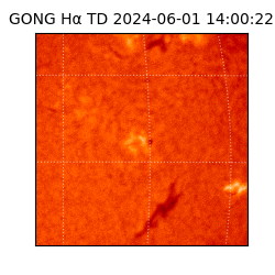 gong - 2024-06-01T14:00:22