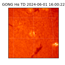 gong - 2024-06-01T16:00:22