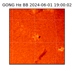 gong - 2024-06-01T19:00:02