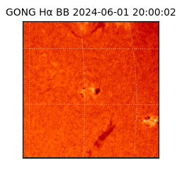 gong - 2024-06-01T20:00:02