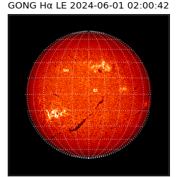 gong - 2024-06-01T02:00:42