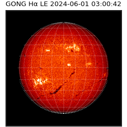 gong - 2024-06-01T03:00:42