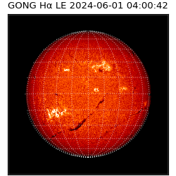 gong - 2024-06-01T04:00:42