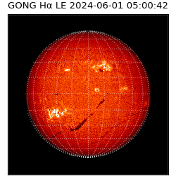 gong - 2024-06-01T05:00:42