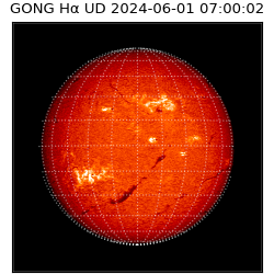 gong - 2024-06-01T07:00:02