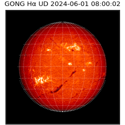 gong - 2024-06-01T08:00:02