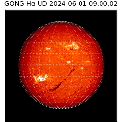 gong - 2024-06-01T09:00:02
