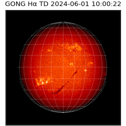 gong - 2024-06-01T10:00:22